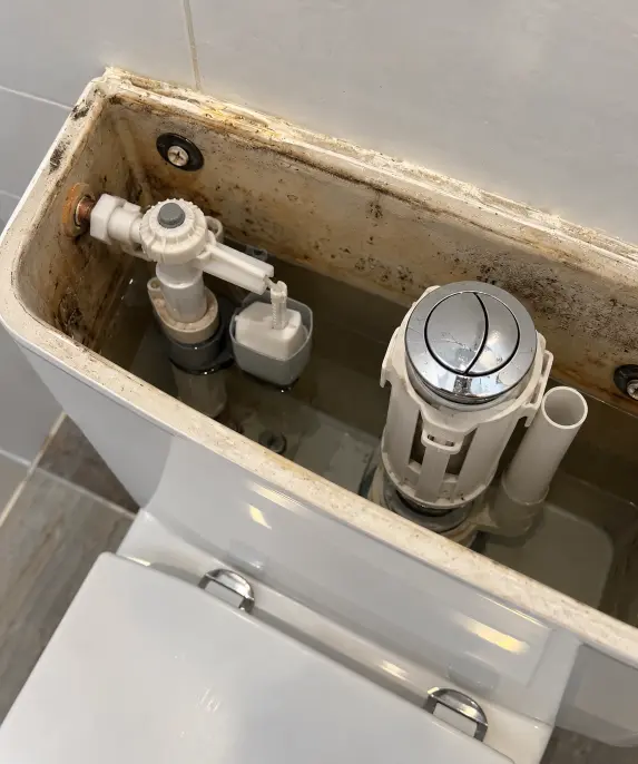 Open toilet cistern showing the fill valve, flush valve, chrome dual-flush button, and mineral staining inside the tank.